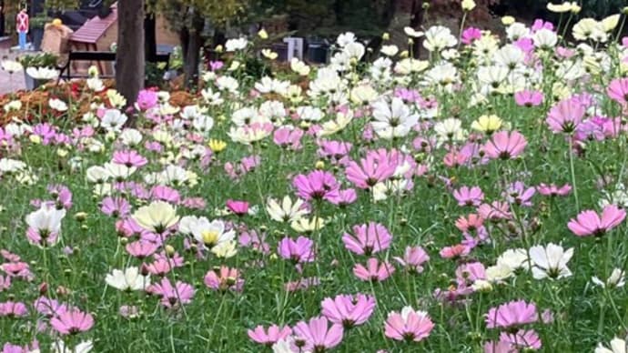 ふなばしアンデルセン公園