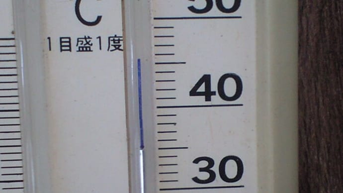 今日は今年初めての「猛暑日」になりました 追記です