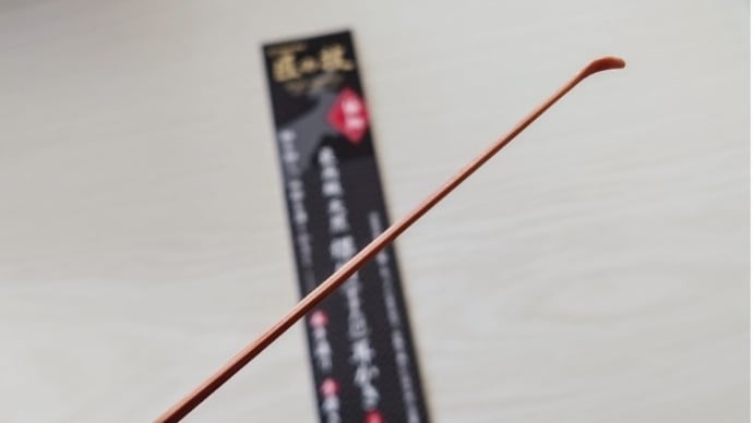 匠の技(耳かき)を使用したらこうなった