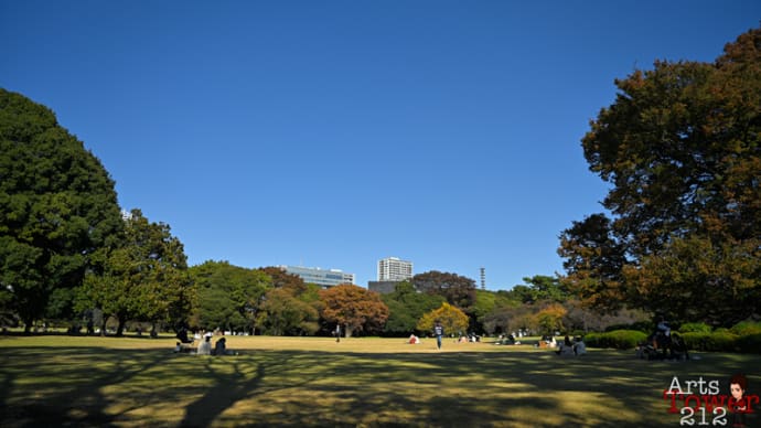 広い空の下で