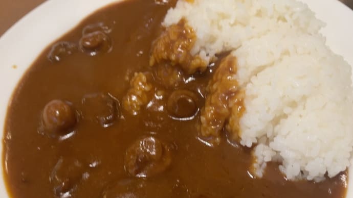 珈琲館カレーを頂きました〜昭和レトロカレー⑧