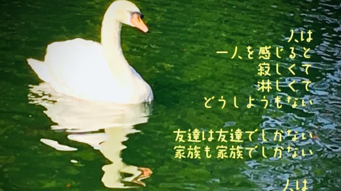 さびしくて