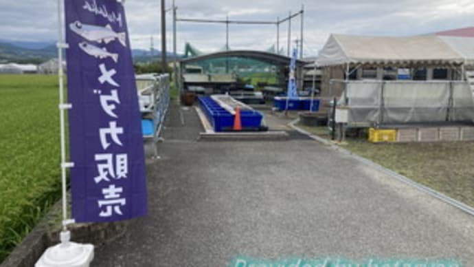 めだか屋 彩(いろどり)