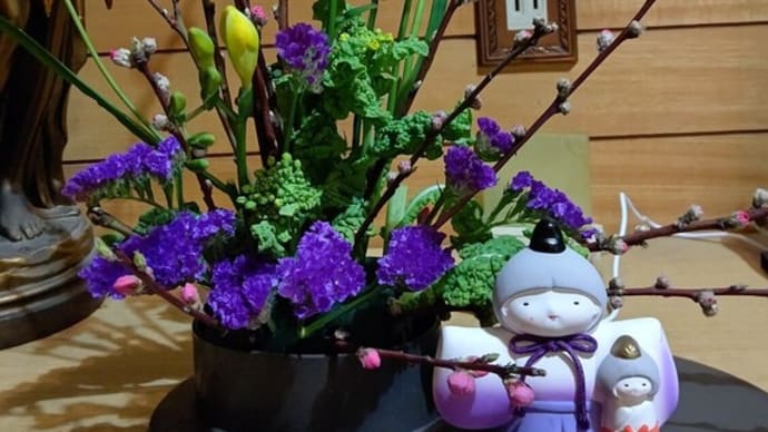 我が家のひな祭りはさみしいけど…しだれ梅が咲いてきました(#^.^#)