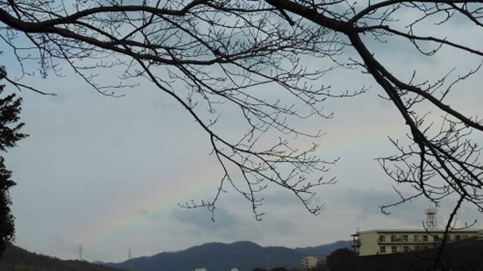 うっすらと 虹が見えました。