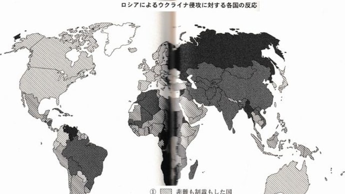 ロシアを「非難して制裁を科す国」少数派4