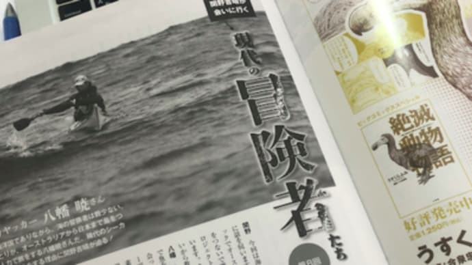 八幡さん