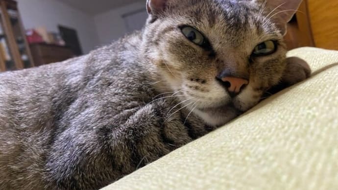 バックグラウンドで視点は違う🙄