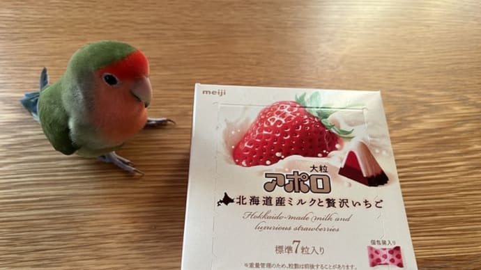 大粒アポロ/「PASSION」/自国に通貨発行権がある4ヵ国