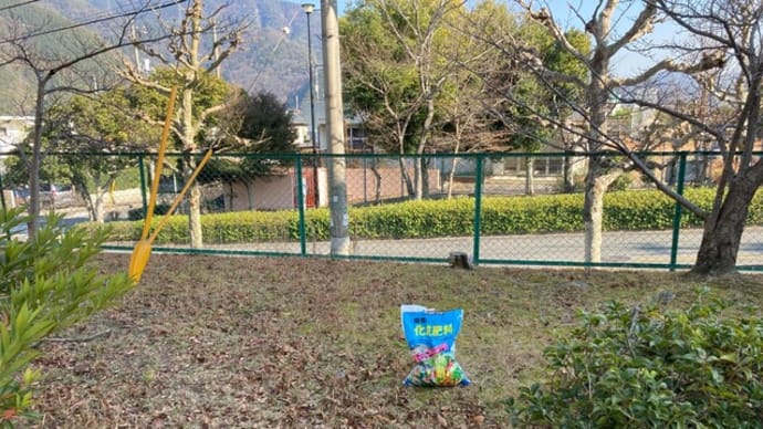 駐車場と諏訪神社の清掃活動 桜に化成肥料をあげた 2023年12月28日