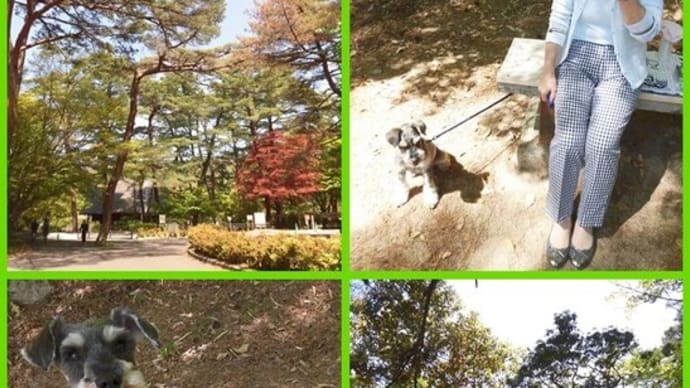 🏞 再度山公園 修法ヶ原池 ともだちのいぬ🐕