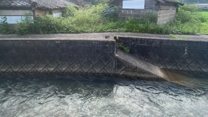 命のともしびが消える時