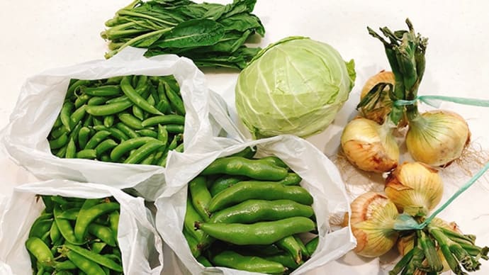 実家から、春野菜と食品が た〜くさん届きました ♪
