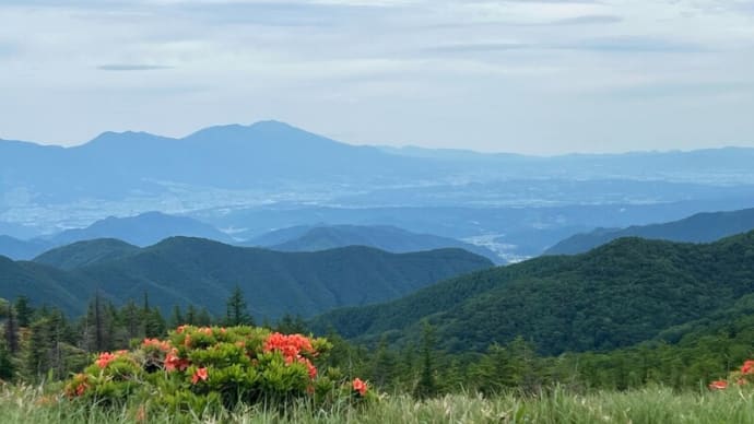 うたう