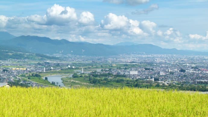 秋の姨捨の棚田・・・黄金色の稲と青空と白い雲