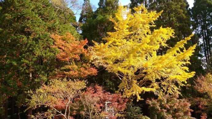 冠嶽神社の紹介・紅葉・YouTube【Drone's journey · Japan】 Autumn leaves - Kagoshima