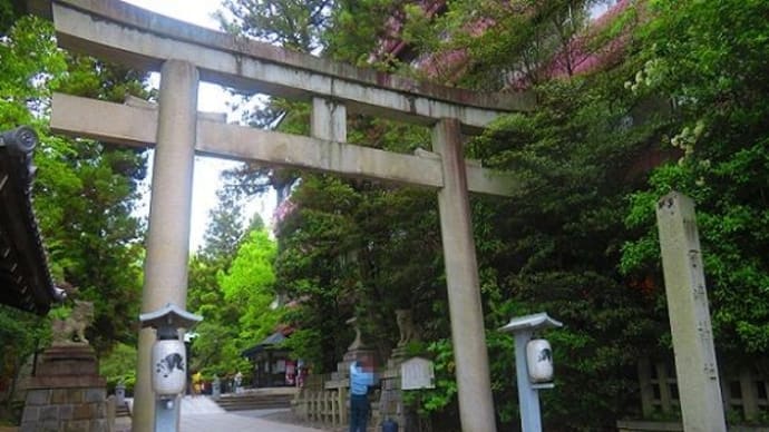 京都写ん歩 うさぎの神社
