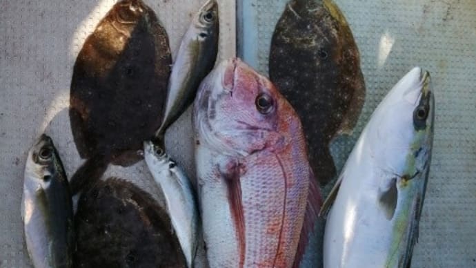 ジギングアウト、タイラバセーフ