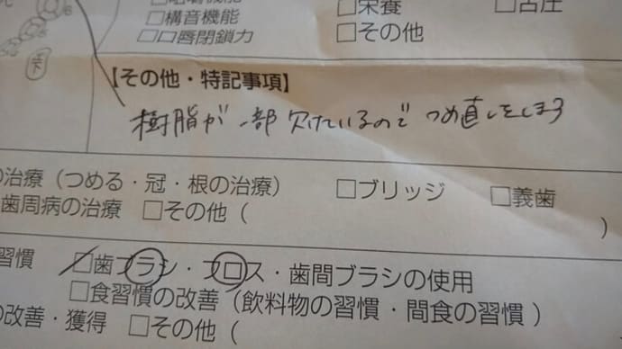 歯の定期健診