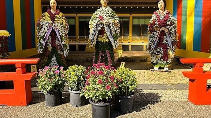 「菊まつり」/湯島天神