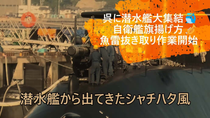 魚雷が目の前を👀潜水艦大集結🐳自衛艦旗揚げ方🎺