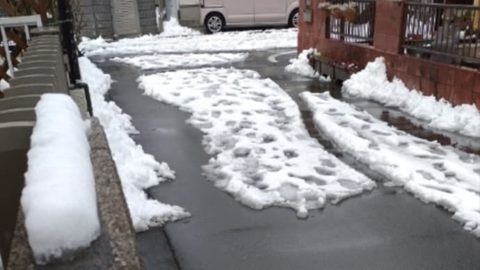 雪かきしました