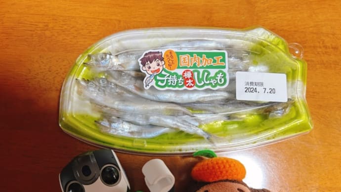 お魚型!?!?