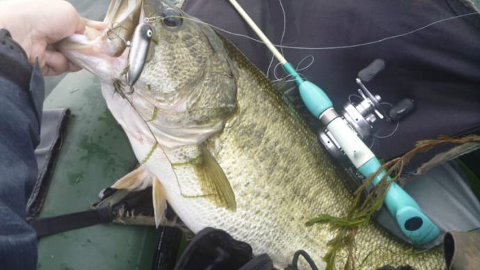 琵琶湖のポテンシャル・・・