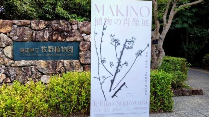 高知旅行➀