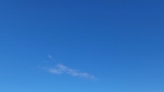 コマセ五目船