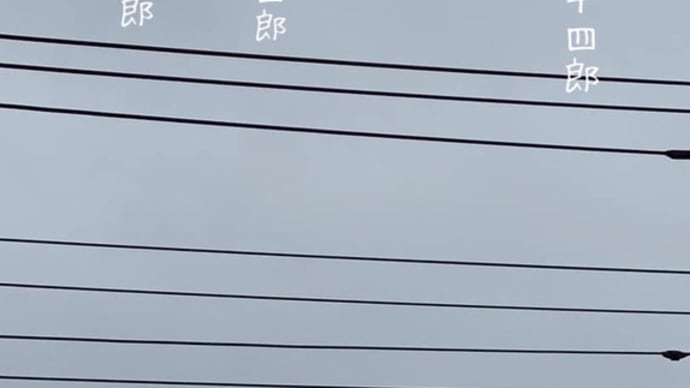 すっきりした遊歩道に