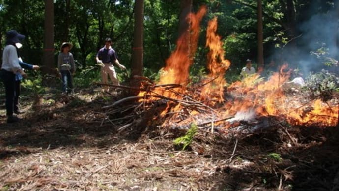 山を焼き、薬用木と染料の苗を移植する（第二回企画）　［友愛の森／里山再生プロジェクト＜4＞］