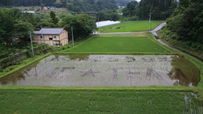 川場村の田んぼアート2020