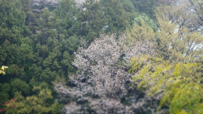 屋根が壊れて