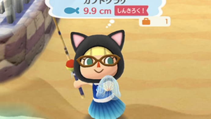 クラゲ