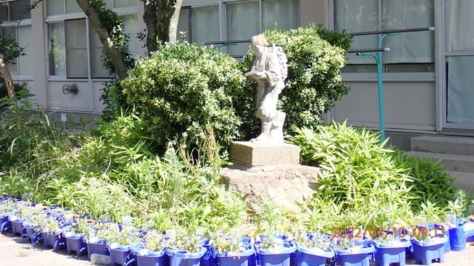0267-長野市立 塩崎小学校の金次郎像