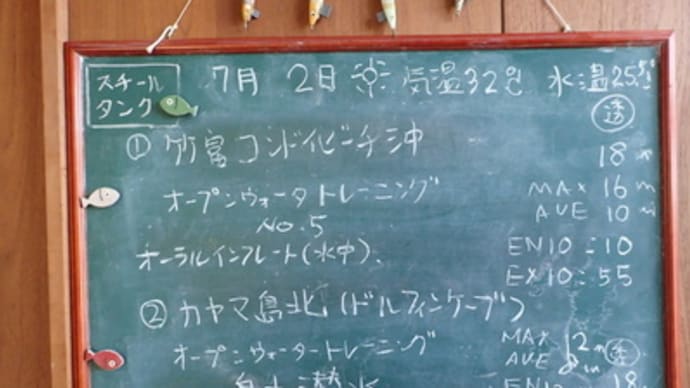 本日のダイビングログ
