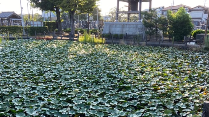 占いもデジタルの時代