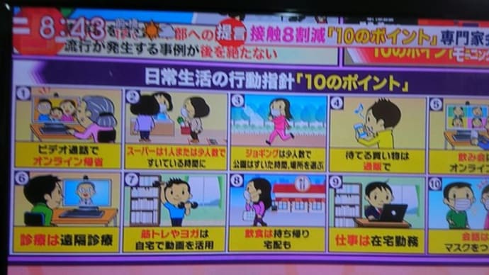 行動指針10のポイント、DSでも脳活性化!? 🎾⛳