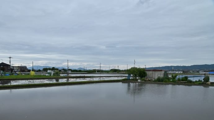 近くを散歩 田植えの時期