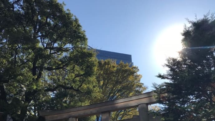 東郷神社に参拝に行きました。