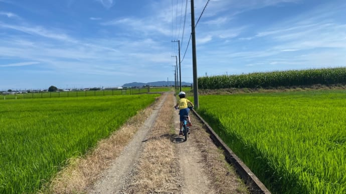 振り返る。