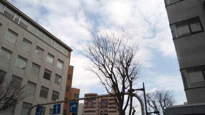 おったまげーーー!