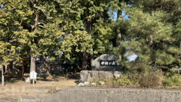 恋野 中将が森