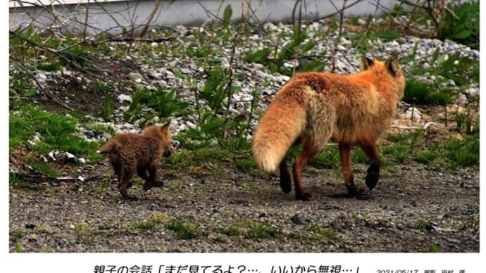 2024/11/06(月)曇り、今週は好天が期待出来そうにア∼リマセン☆
