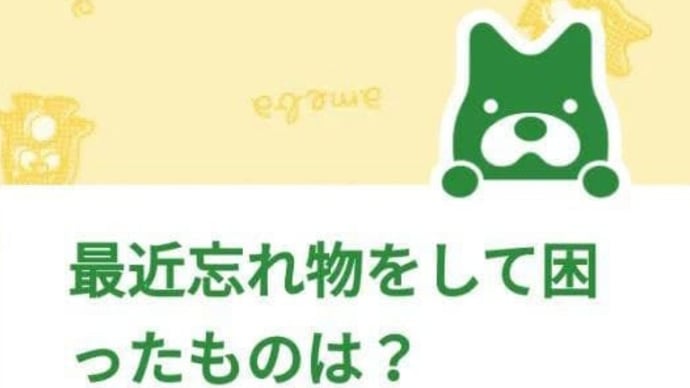 最近忘れ物をして困ったものは？