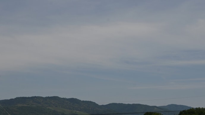 東高野街道から道明寺天満宮へ