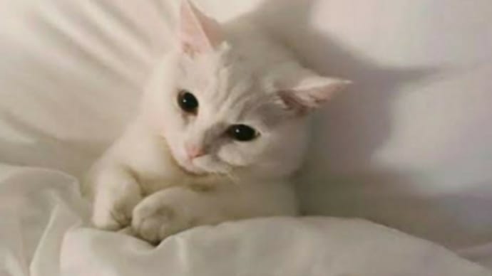 今日も1日お疲れ様です😌💓