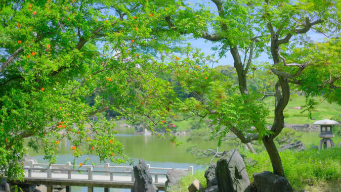 sakeの歩窓から(清澄庭園)