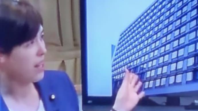 女性総理に期待す!!